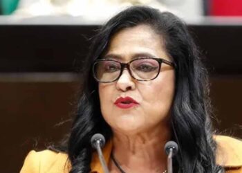 Niega diputada federal que asambleas de Morena sean actos anticipados de campaña