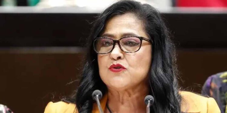 Niega diputada federal que asambleas de Morena sean actos anticipados de campaña