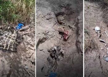 Hallan siete fosas clandestinas en Miguel Alemán