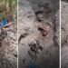 Hallan siete fosas clandestinas en Miguel Alemán