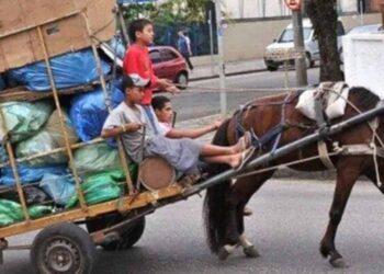 Piden endurecer sanciones por maltrato a animales de carga en Tamaulipas