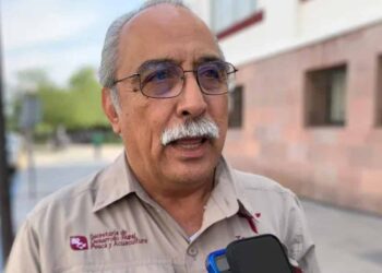 Mantienen adeudos casi 7 mil productores de Tamaulipas con desaparecida FNDL