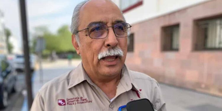 Mantienen adeudos casi 7 mil productores de Tamaulipas con desaparecida FNDL