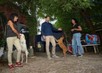 Transforma Reciclatón 2026 el compromiso ciudadano en apoyo para el bienestar animal