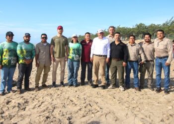 Consolida Tamaulipas liderazgo en la protección de la tortuga lora