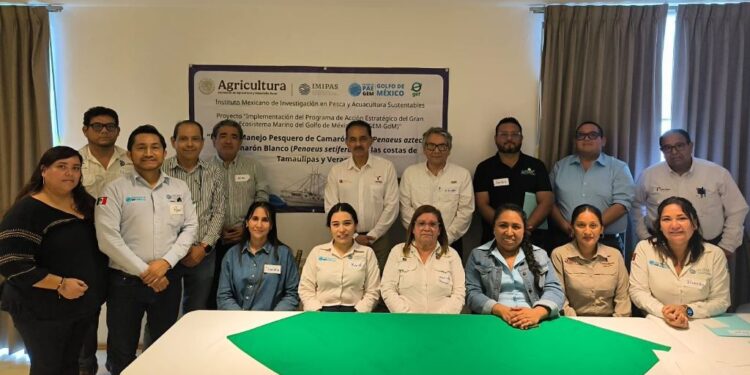Impulsa Tamaulipas acciones estratégicas para la pesca sustentable del camarón