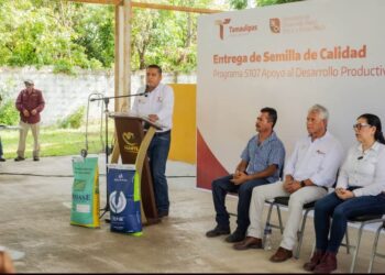 Fortalece Tamaulipas la producción agrícola con apoyos de semilla certificada