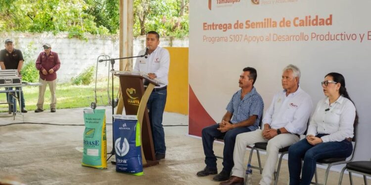 Fortalece Tamaulipas la producción agrícola con apoyos de semilla certificada