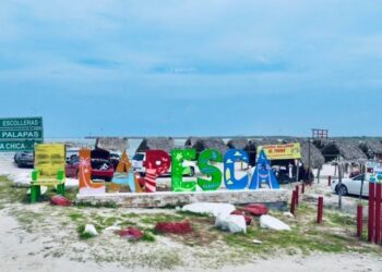 Fortalecen ordenamiento y prestación de servicios en playas de Tamaulipas