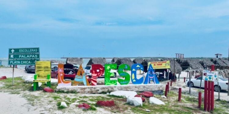 Fortalecen ordenamiento y prestación de servicios en playas de Tamaulipas