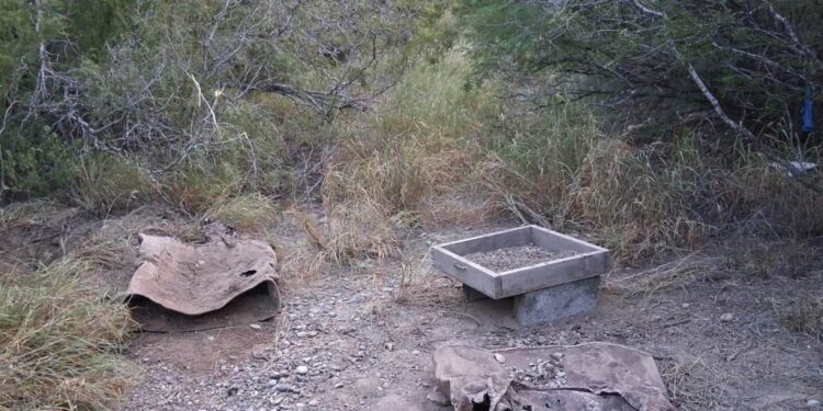 Descubren campo de exterminio con restos humanos en Reynosa