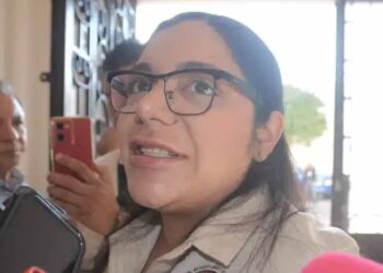 Llama diputada de Morena a otros partidos evitar simulación en acciones afirmativas
