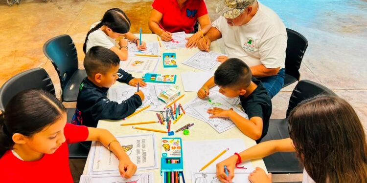 Fortalece Tamaulipas conservación de la Mariposa Monarca con participación en el Blitz Monarca 2026