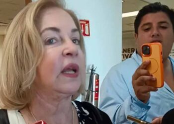 Cuestiona Paloma lineamientos para derecho de las audiencias
