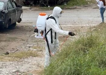 Dengue se mantiene a la baja, pero pide Salud limpiar baldíos