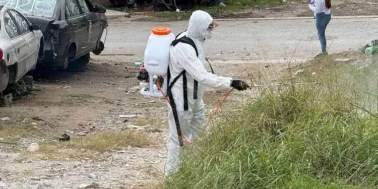 Dengue se mantiene a la baja, pero pide Salud limpiar baldíos