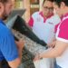 Destruye INE 32,187 credenciales de elector
