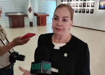 Duda Paloma de registro de líneas de telefonía celular