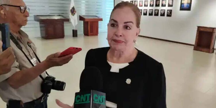Duda Paloma de registro de líneas de telefonía celular