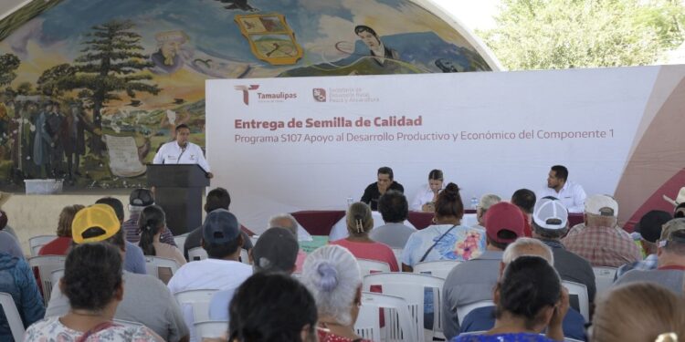 Lleva Tamaulipas respaldo al campo de Abasolo con entrega de semillas