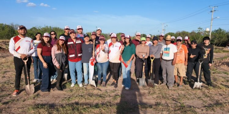 Nos estamos sumando al llamado de reforestación que hace nuestra presidenta Claudia Sheinbaum Pardo: HP