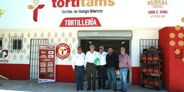 Impulsa Tamaulipas nuevo modelo para mejorar ingresos de los productores de sorgo