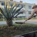 Pemex participa en la 2ª Jornada Nacional de Lucha contra el Dengue, Chikungunya y Zika 2026