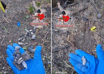 Reportan nuevo hallazgo de restos humanos en Miguel Alemán