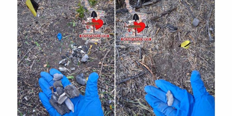 Reportan nuevo hallazgo de restos humanos en Miguel Alemán