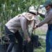 Contribuye SEDUMA a estrategia de reforestación con más de 134 mil manglares y árboles nativos