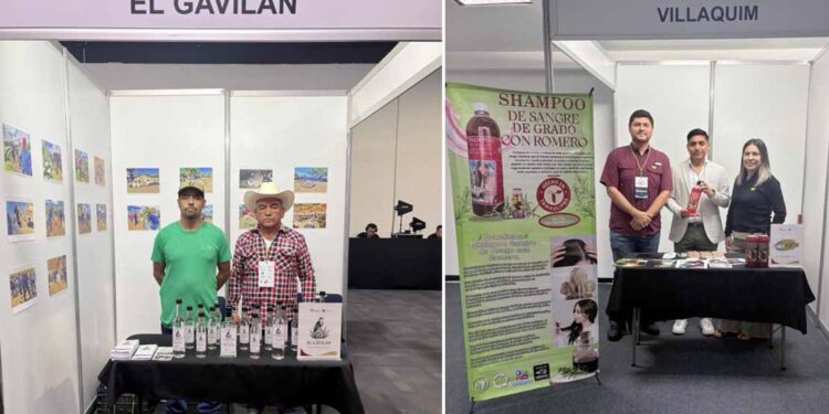 Participa Tamaulipas en Expo Cooperativas 2026