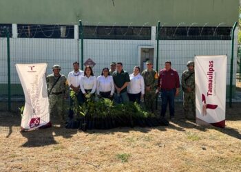 Entrega Gobierno de Tamaulipas 200 árboles al 77/o Batallón de Infantería
