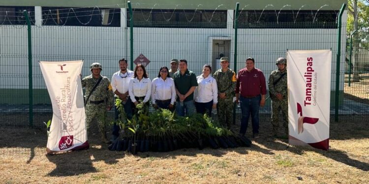 Entrega Gobierno de Tamaulipas 200 árboles al 77/o Batallón de Infantería