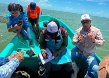 Dan seguimiento técnico al crecimiento de la actividad ostrícola en la Laguna Madre