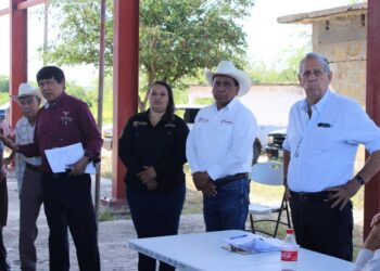 Se fortalece sector rural con entrega de semilla de sorgo y maíz