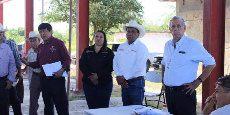 Se fortalece sector rural con entrega de semilla de sorgo y maíz
