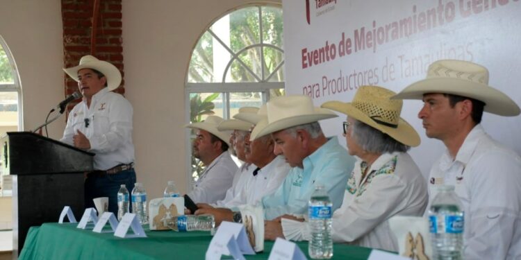 Acerca programa estatal, genética de alta calidad a las y los productores pecuarios
