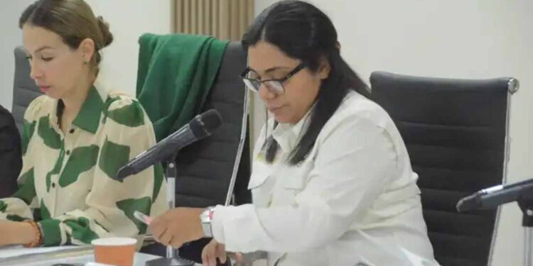 Violencia contra menores siempre ha existido, hoy se denuncia más