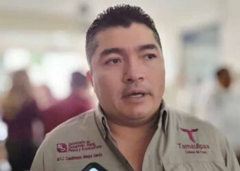Registra Tamaulipas 43 casos activos de gusano barrenador