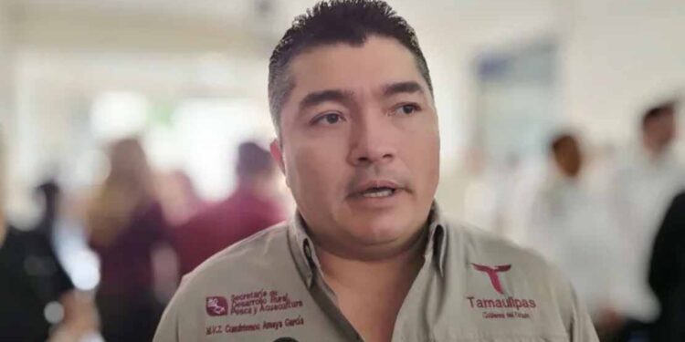 Registra Tamaulipas 43 casos activos de gusano barrenador