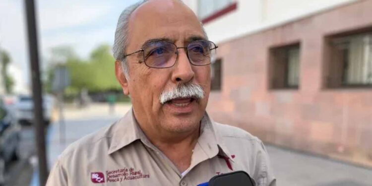 Avanza erradicación del gusano barrenador; hay 14 casos activos en Tamaulipas