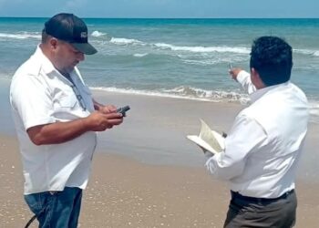 Refuerzan vigilancia y protección de tortugas marinas en campamentos de Tamaulipas