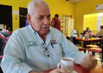 Esperan apertura de Tamaulipas a exportación de ganado hasta 2027