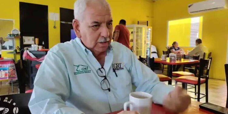 Esperan apertura de Tamaulipas a exportación de ganado hasta 2027