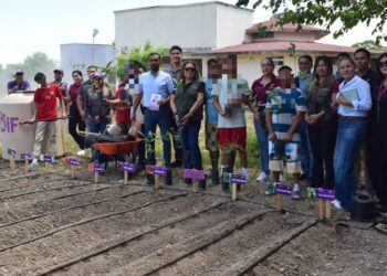 Instalan huerto de hortalizas en el Centro de Ejecución de Medidas para Adolescentes de Güémez