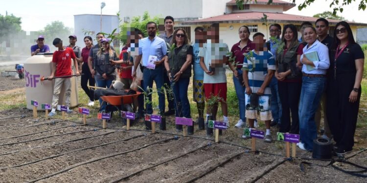 Instalan huerto de hortalizas en el Centro de Ejecución de Medidas para Adolescentes de Güémez