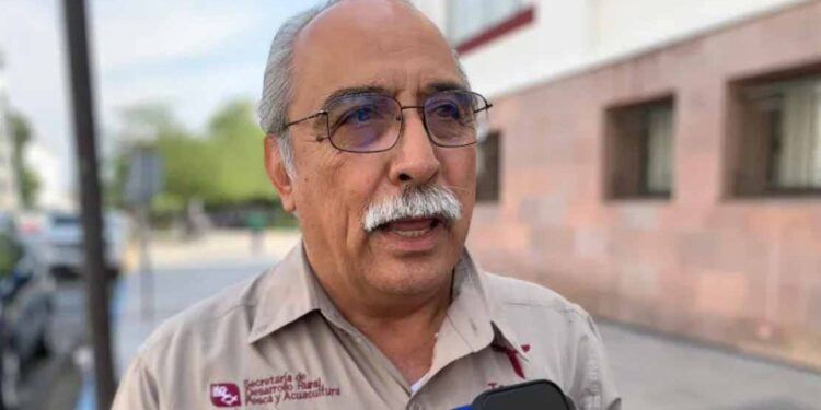 Modifica drásticamente cambio climático la agricultura en Tamaulipas