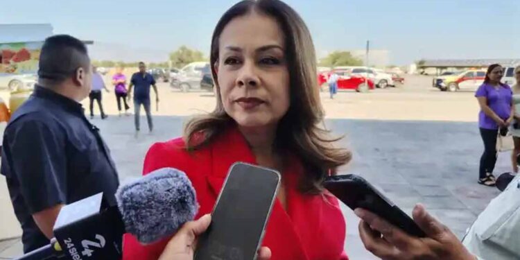 Brindará PJE información para definir idoneidad y elegibilidad de candidatos