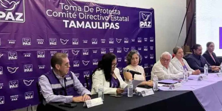 Cero candidaturas y cero dinero del crimen organizado, promete PAZ
