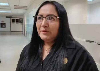 Reconoce diputada de Morena: se quedaron hectáreas sin sembrar por candado en apoyo federal